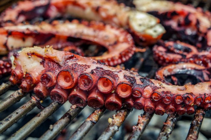 How to cook octopus tentacles greek style